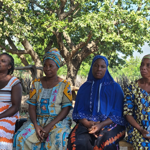 pemcoa-foundation-image-1