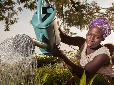 pemcoa-foundation-skill